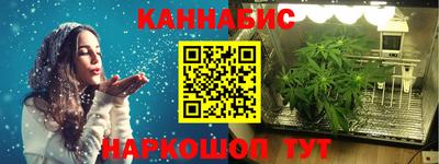 прущие крисы Шебекино