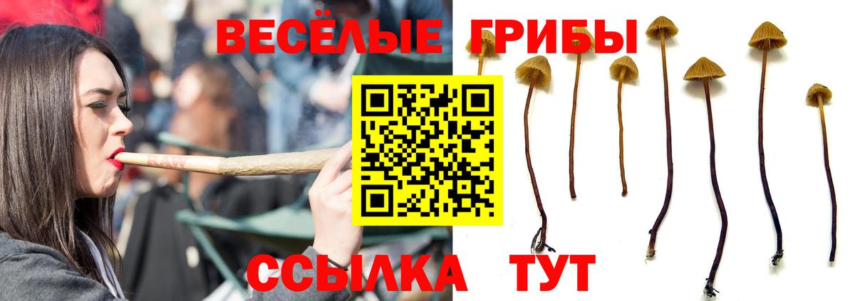 Галлюциногенные грибы MAGIC MUSHROOMS Борзя